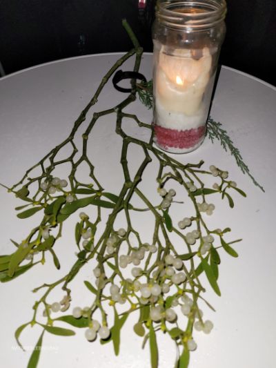 738e9c4a-5f16-4766-9c63-fe947603b507